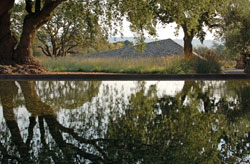 Andrea Cochran Landscape Architecture &ndash; USA