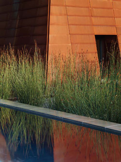 Andrea Cochran Landscape Architecture &ndash; USA