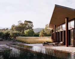 Andrea Cochran Landscape Architecture