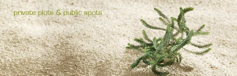 private plots & public spots