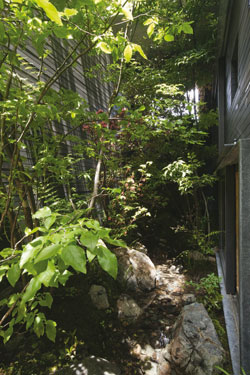 Landscape-Niwatan &ndash; Japan