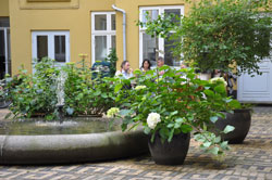 1:1 Landskab – Denmark