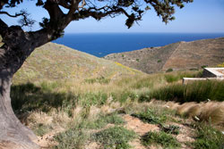 .doxiadis+ &ndash; Greece: Landscapes of Cohabitation