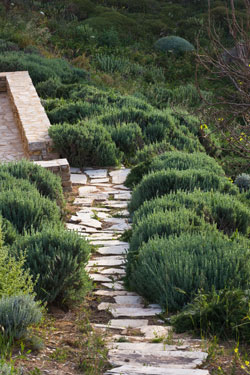 .doxiadis+ &ndash; Greece: Landscapes of Cohabitation