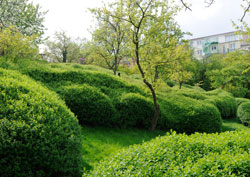 Garten Labyrinth, Mann Landschaftsarchitektur